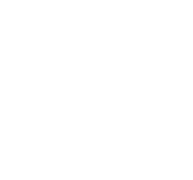 Fiber Coach AI